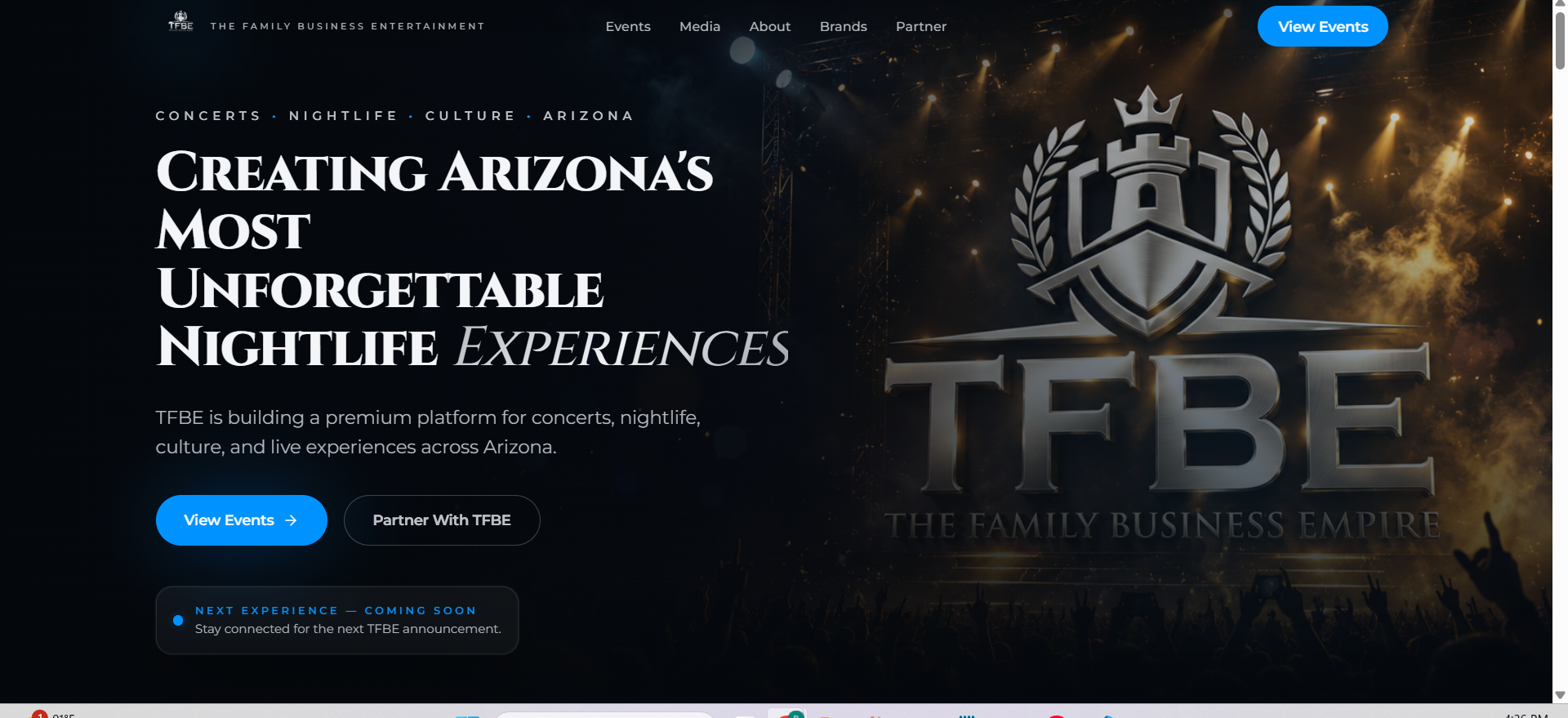 TFBE demo website preview